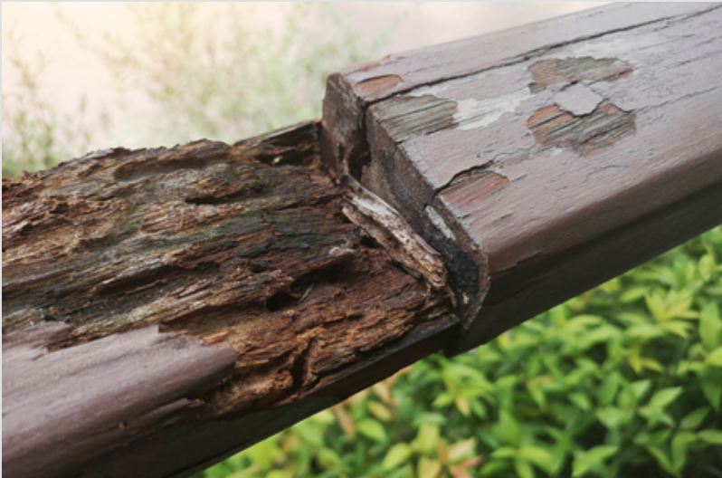 All About Wood Rot Repair in Kansas City